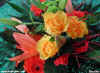 Bouquet Rosalbin